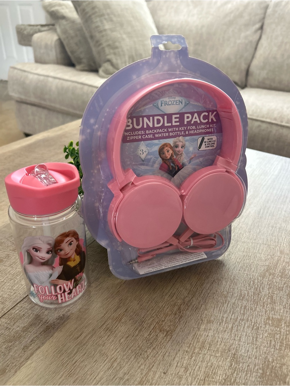 Kids FROZEN Pink On-Ear Headphones and water bottle Bundle Pack